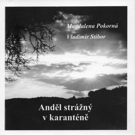 Obálka knihy Anděl strážný v karanténě